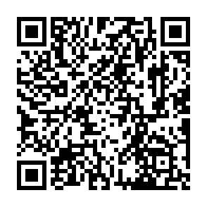 Fake Flare giveaway QR code
