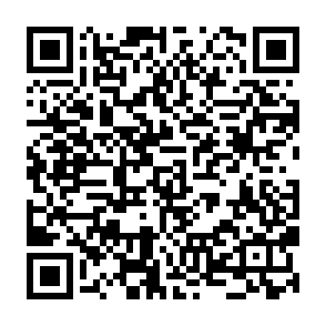 Flare EVM Hub scam website QR code