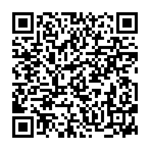 FlutterShell backdoor malware QR code
