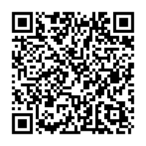 Ads by forgegrowthrise.com QR code