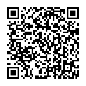 Fake Freight Invoice QR code