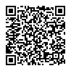 Fraudulent FWOG token giveaway QR code