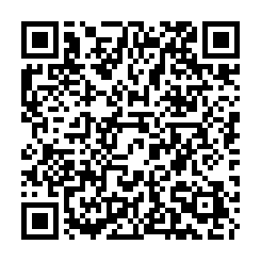 Ads by Gastaldo.app QR code
