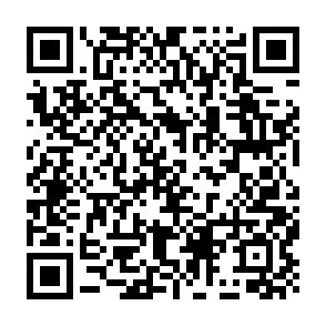 Fake Gensyn ($AI) Public Sale website QR code