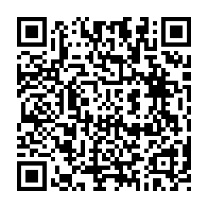 Gigabrain Token Airdrop crypto drainer QR code