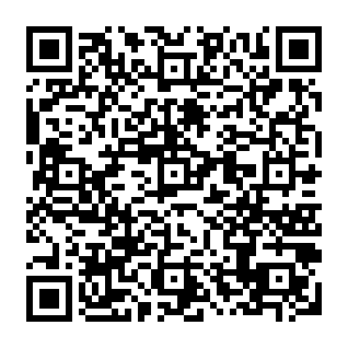 Fake Giggle Fund ($GIGGLE) giveaway QR code