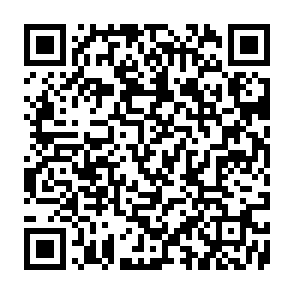 Gines virus QR code