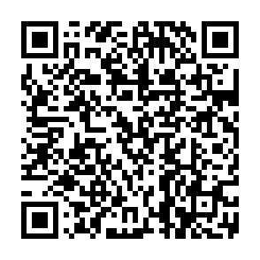 gitlawb Voting Rewards drainer scam QR code