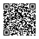 Google Software Scam QR code