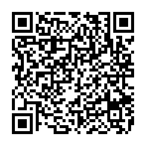 Google Voice phishing scam QR code