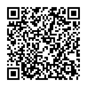 Fake Goyin ($GOYIM) giveaway QR code