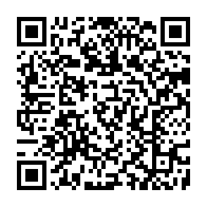 Fraudulent Grass Airdrop website QR code