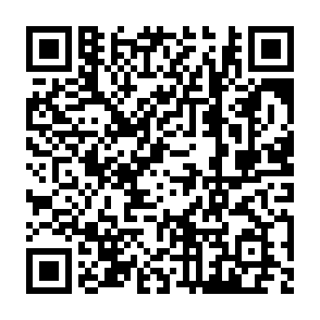Grass Vote Rewards crypto drainer QR code