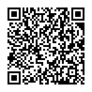 Haedal Airdrop crypto drainer QR code