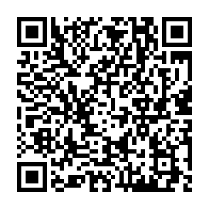 Fake $HILO Rewards website QR code