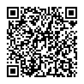 Hirudo banking malware QR code