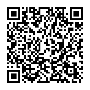 Hnx911 virus QR code