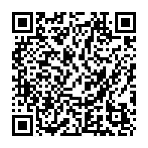 Fake $HOLO token airdrop QR code