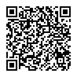 HybridPetya virus QR code