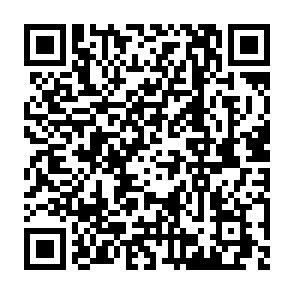 $IBVM Airdrop crypto drainer QR code