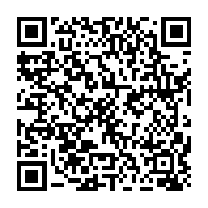 ICANN Client Error phishing email QR code