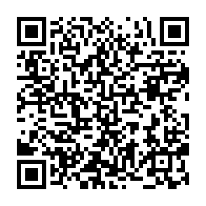 IdontCareLOck virus QR code