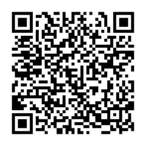 Immigration virus QR code