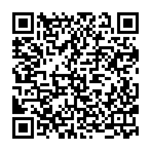 Fake Instagram account hacking tool QR code