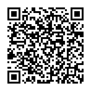 Internal Error phishing email QR code