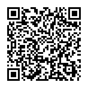 Ads by ironforgemaster.top QR code