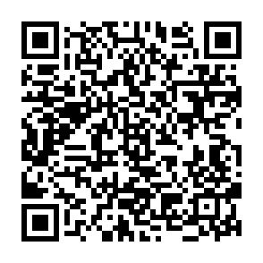 Kelp Staking crypto drainer QR code
