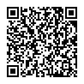 Fake $KIMCHI giveaway QR code