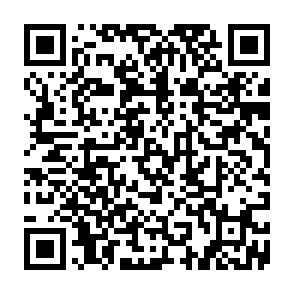 Fake Kite giveaway QR code