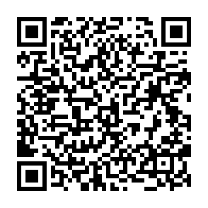 Ads by koilur.co.nz QR code