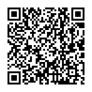 LabubaRAT remote access trojan QR code