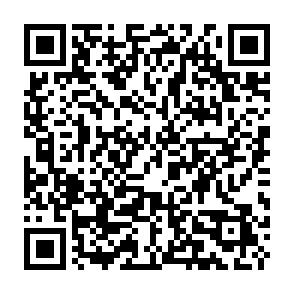 Lamia Loader virus QR code