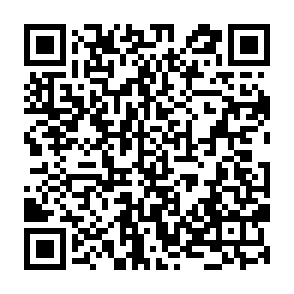 Ads by laracismas.co.in QR code