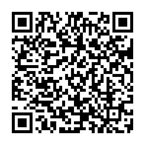 Ads by laraines.co.in QR code
