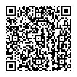 Fake Ledger Clear Signing Activation website QR code