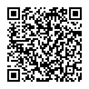 Fake Ledger Security Check QR code