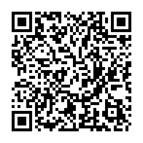 Ads by lexornero.co.in QR code