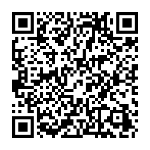 Ads by license-check-av.site QR code