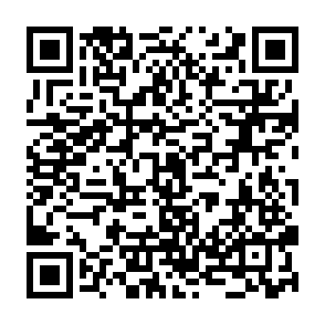 Fake Life AI Airdrop QR code