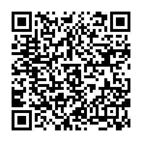 Littleguy Airdrop crypto drainer QR code