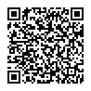 Ads by loboodae.com QR code
