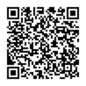 LofyStealer information stealer QR code