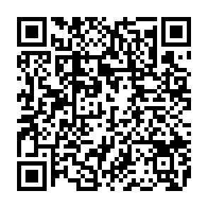 Fake Lombard Rewards platform QR code