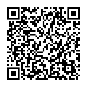 Fake $LOOK token giveaway QR code