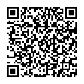 Ads by lopplarting.com QR code