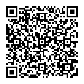 Maja Hoffmann Donation scam QR code